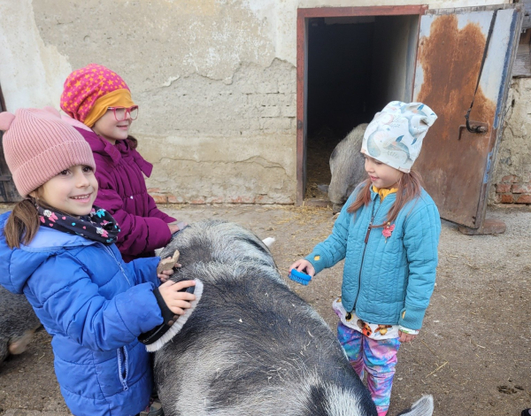 Zvířátkov - Sluníčka