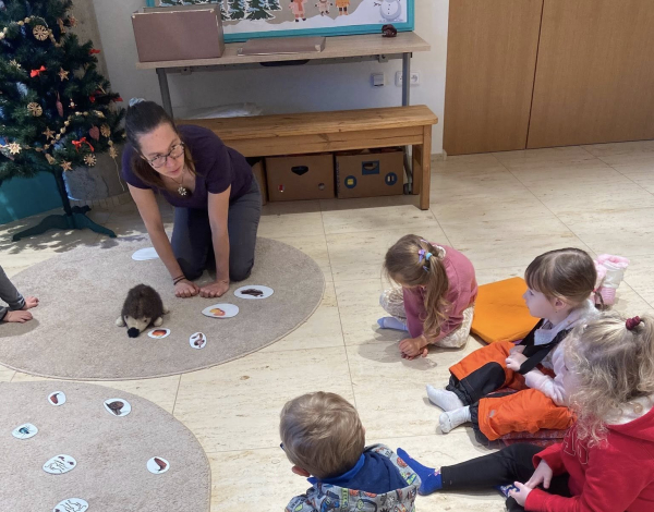 🐞ornis - ježek🐞